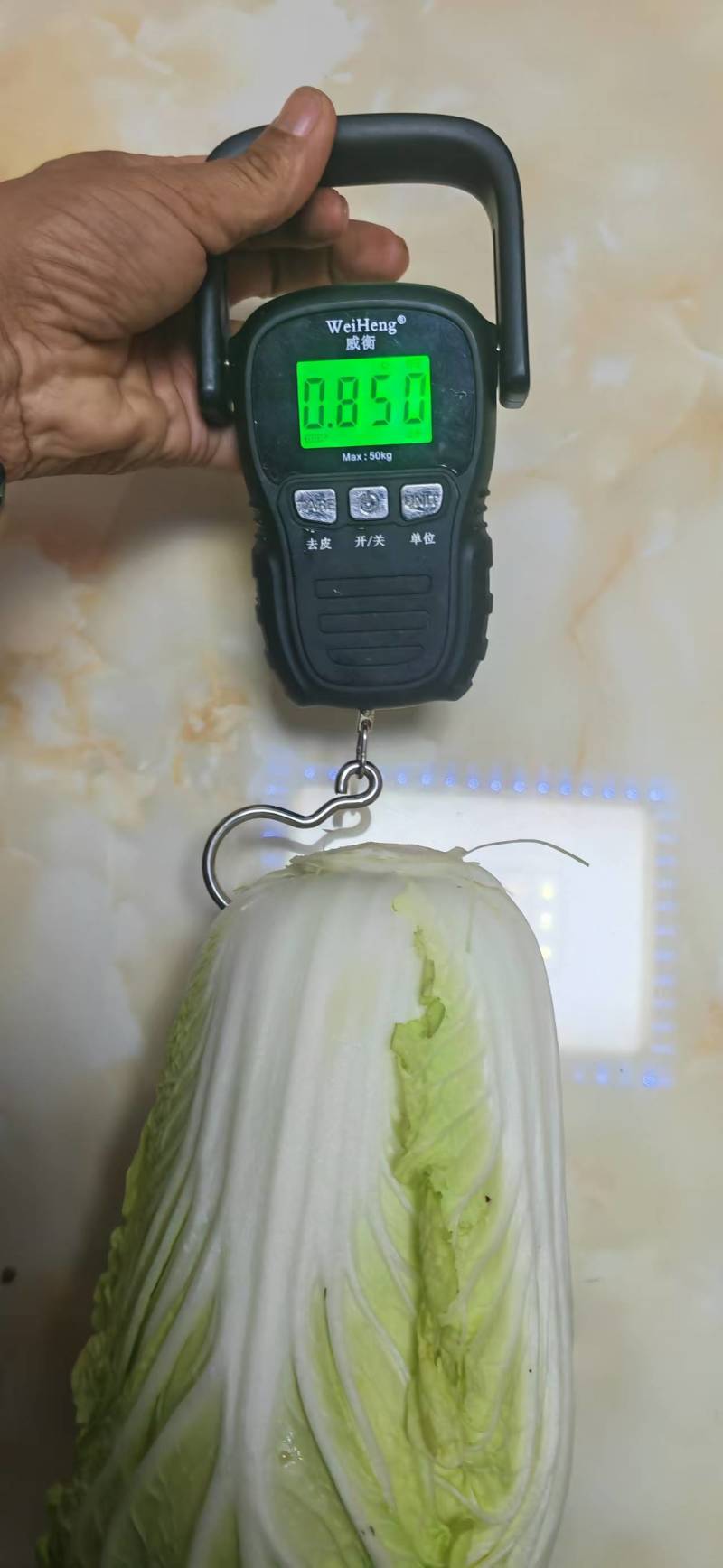 云南精品大娃娃菜产地直发品质保证量大从优欢迎联系