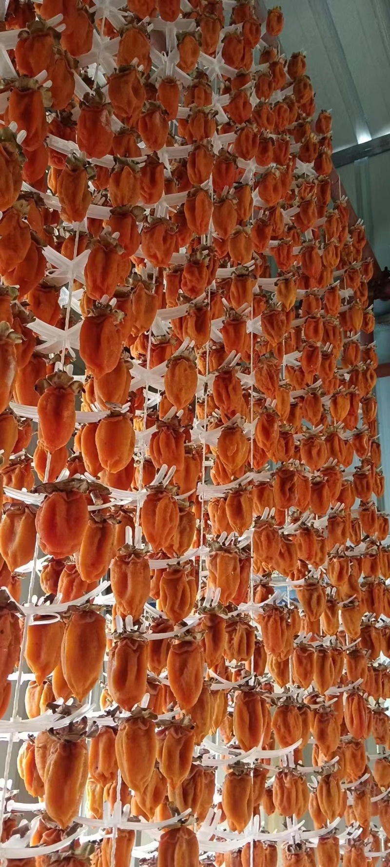 富平柿饼，厂家直销
