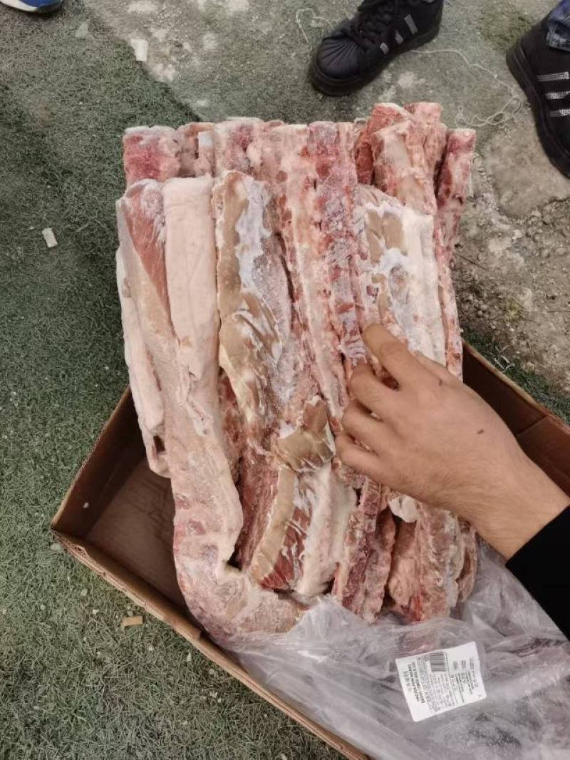 背骨