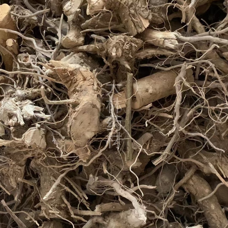 颠茄根【包邮】三斤起发货可批量可零售量大从优