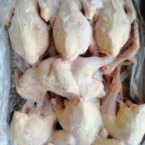三黄鸡白条（规格齐全）