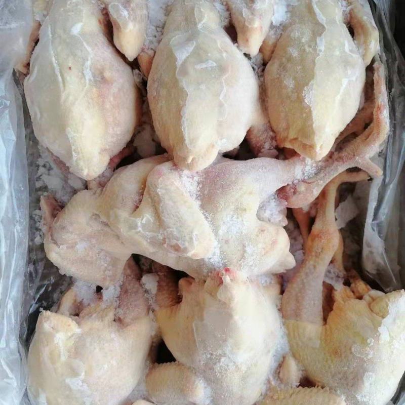 三黄鸡白条（规格齐全）