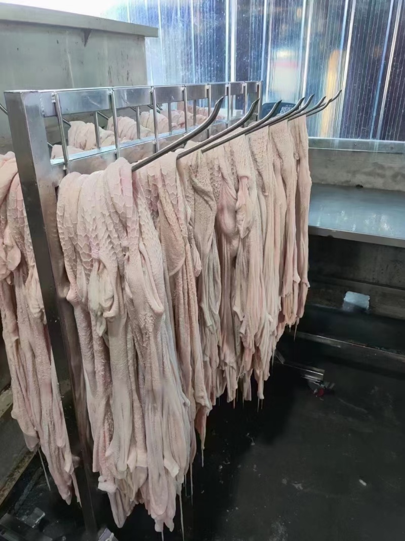 羊净肚