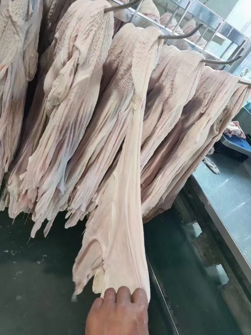 羊净肚