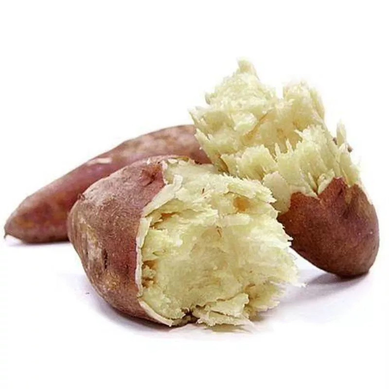 高淀粉红皮白心红薯周口项城