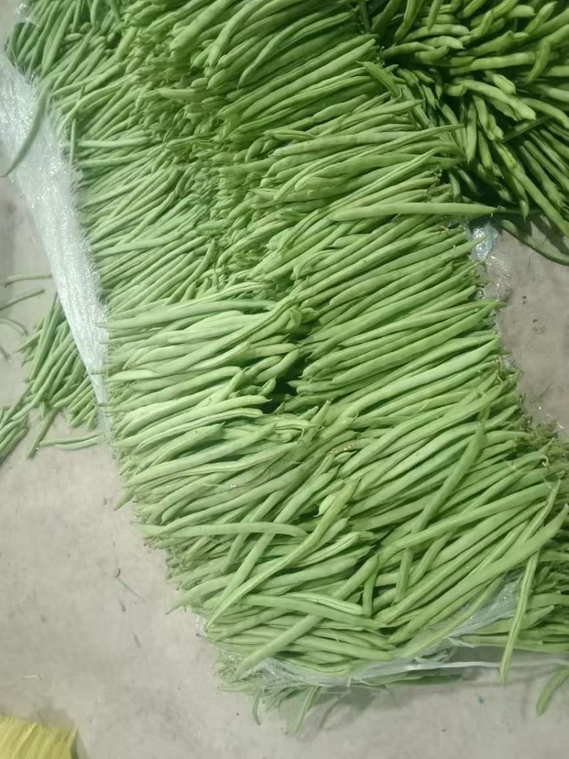 云南无筋豆四季豆产地一手货源供应全国电商市场