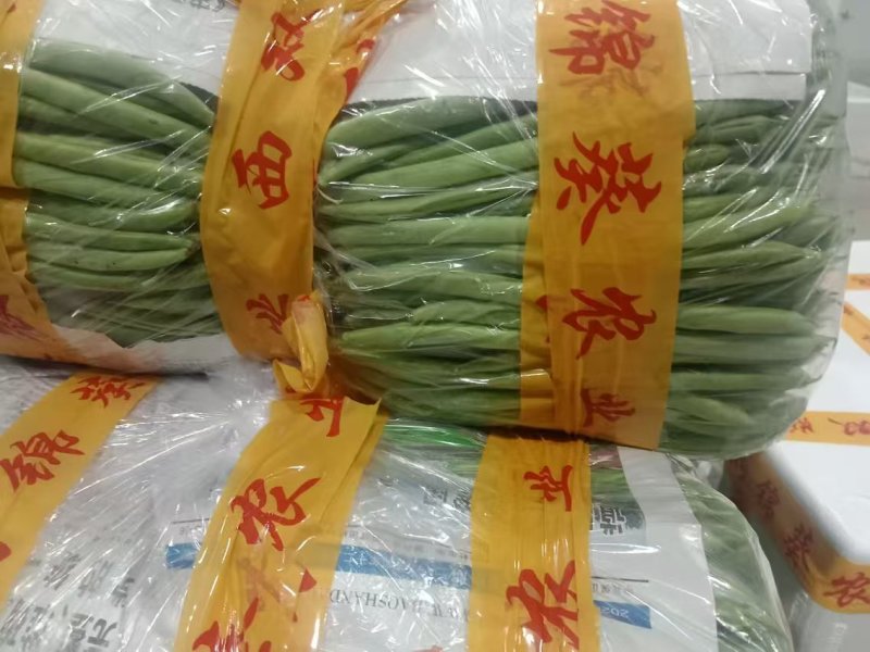 云南无筋豆四季豆产地一手货源供应全国电商市场
