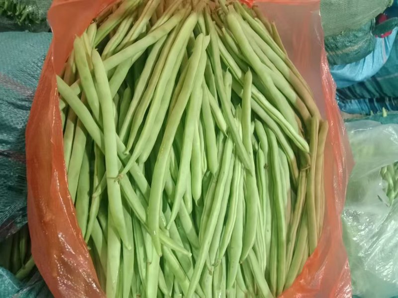 云南无筋豆四季豆产地一手货源供应全国电商市场
