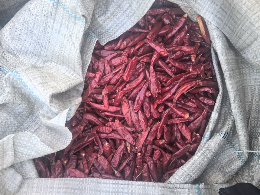 干辣椒被分装在密封罐中,整齐摆放在厨房架子上 干辣椒存储图