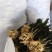 脱水白菜，白菜干大量供应广东基地直发，货源充足，量大从优