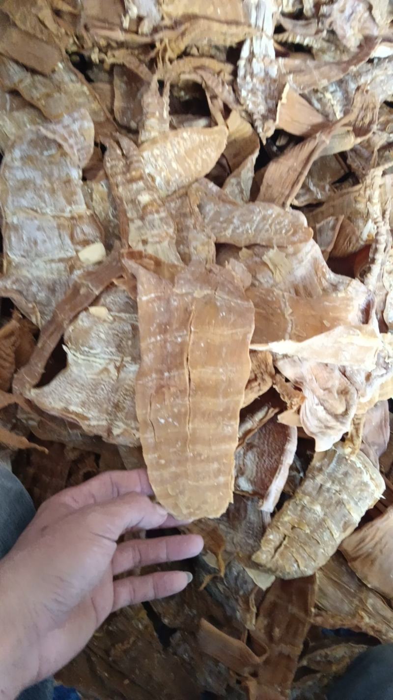精品笋干大量供应，货源充足，对接全国市场可视频验货。