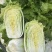 白菜黄心大白菜白菜批发，超市货电商货市场货