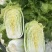 白菜黄心大白菜白菜批发，超市货电商货市场货