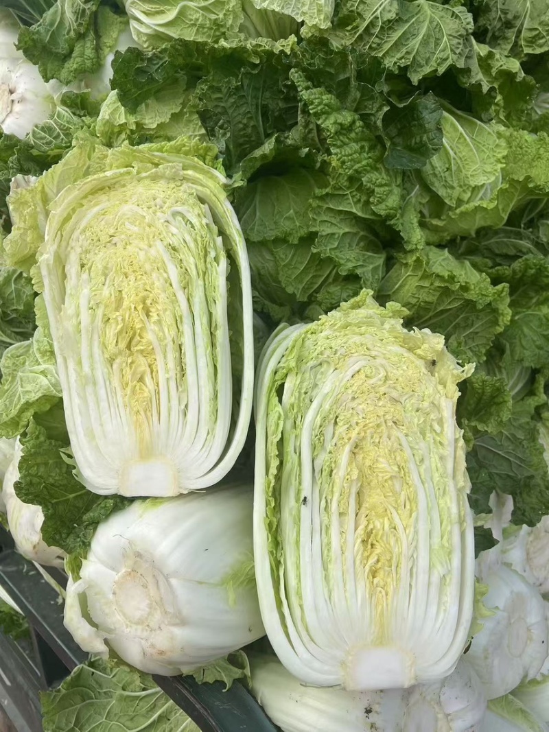 白菜黄心大白菜白菜批发，超市货电商货市场货