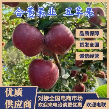 丑苹果云南苹果产地一手货源，规格齐全，可视频看货代发全国