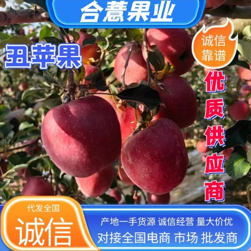 云南苹果精品丑苹果产地一手货源，现摘现发，对接全国客商
