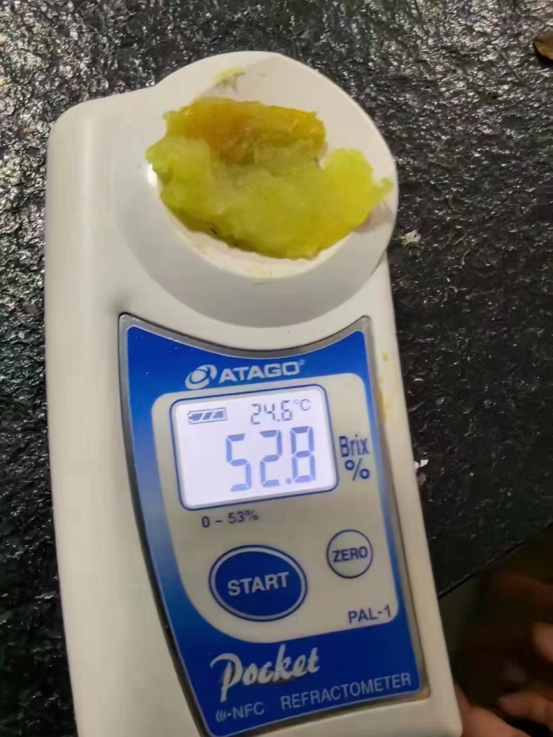 榴莲蜜薯