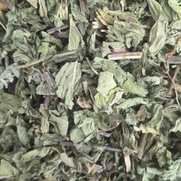 薄荷全棵薄荷选新货关书药业批发中药材规格齐全