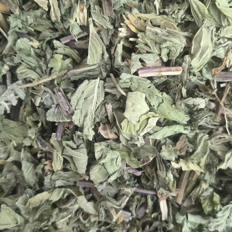 薄荷全棵薄荷选新货关书药业批发中药材规格齐全