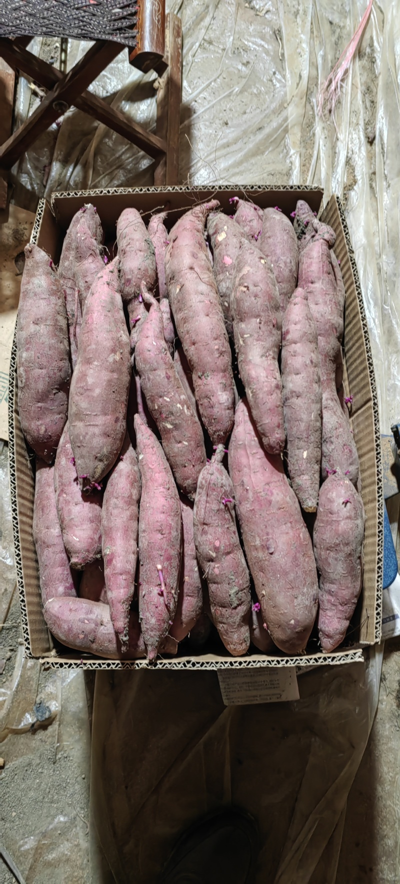 榴莲蜜薯