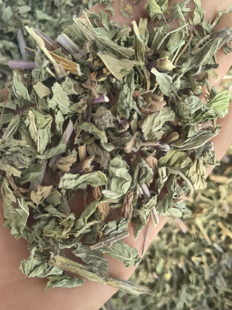 薄荷全棵薄荷选新货关书药业批发中药材规格齐全