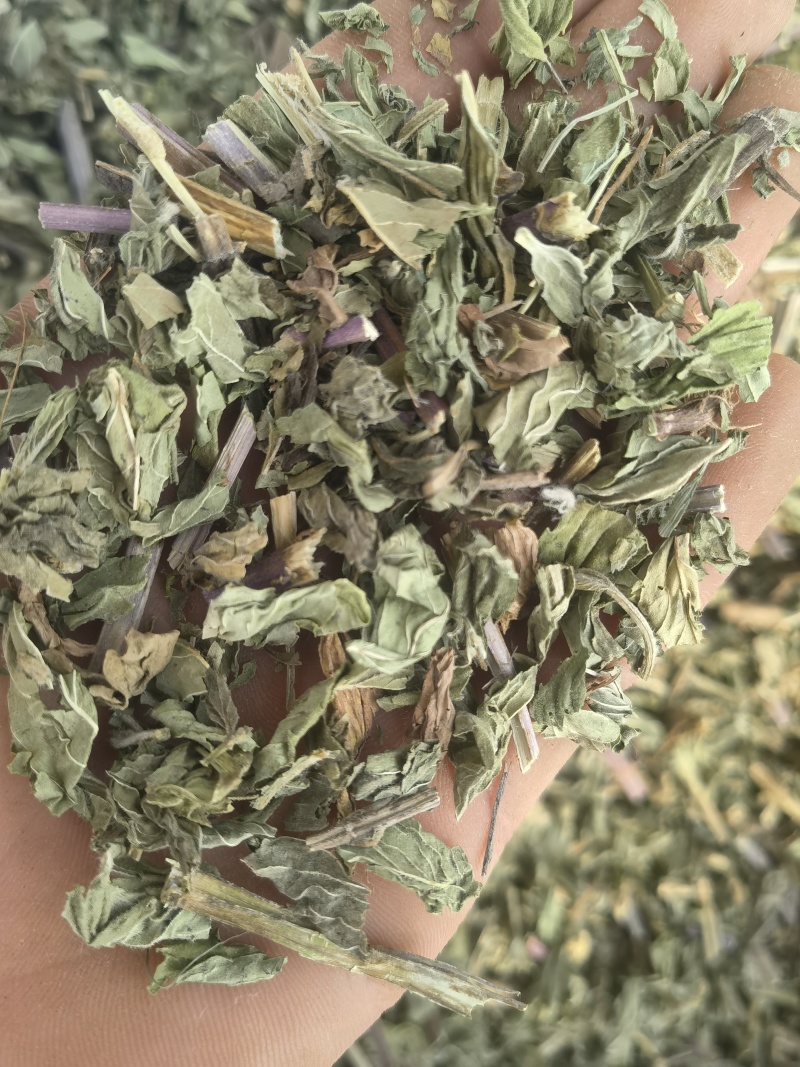 薄荷全棵薄荷选新货关书药业批发中药材规格齐全