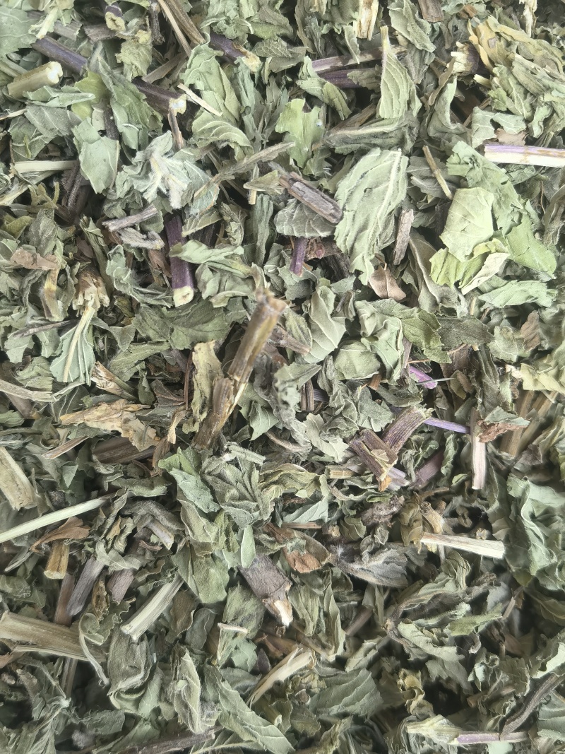 薄荷全棵薄荷选新货关书药业批发中药材规格齐全