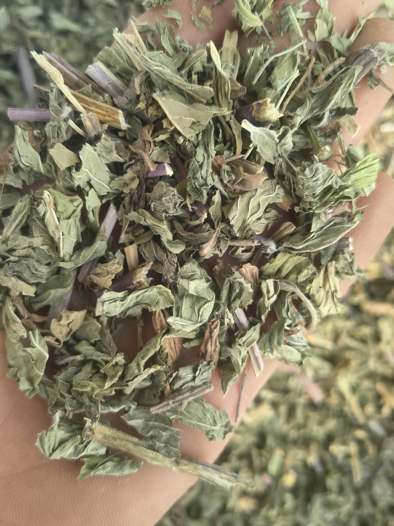 薄荷全棵薄荷选新货关书药业批发中药材规格齐全