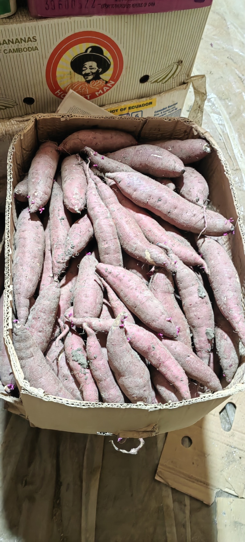 榴莲蜜薯