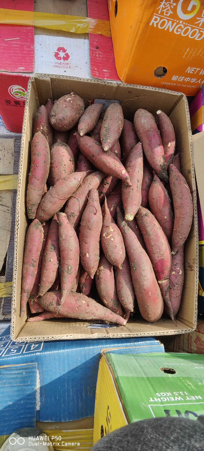榴莲蜜薯