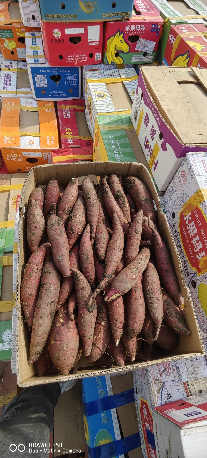 榴莲蜜薯