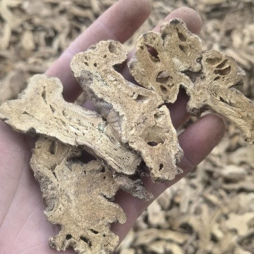 白术麸白术二年大统带蜂窝白术关书药业专注品质如图