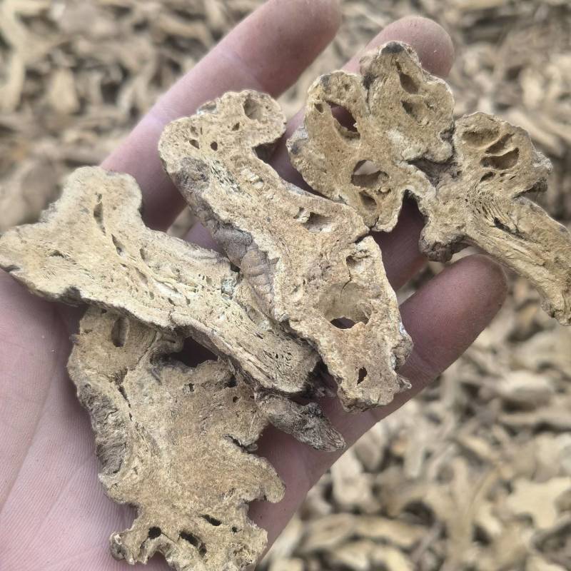 白术麸白术二年大统带蜂窝白术关书药业专注品质如图