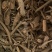 丁茄片【包邮】三斤起发货可批量可零售量大从优