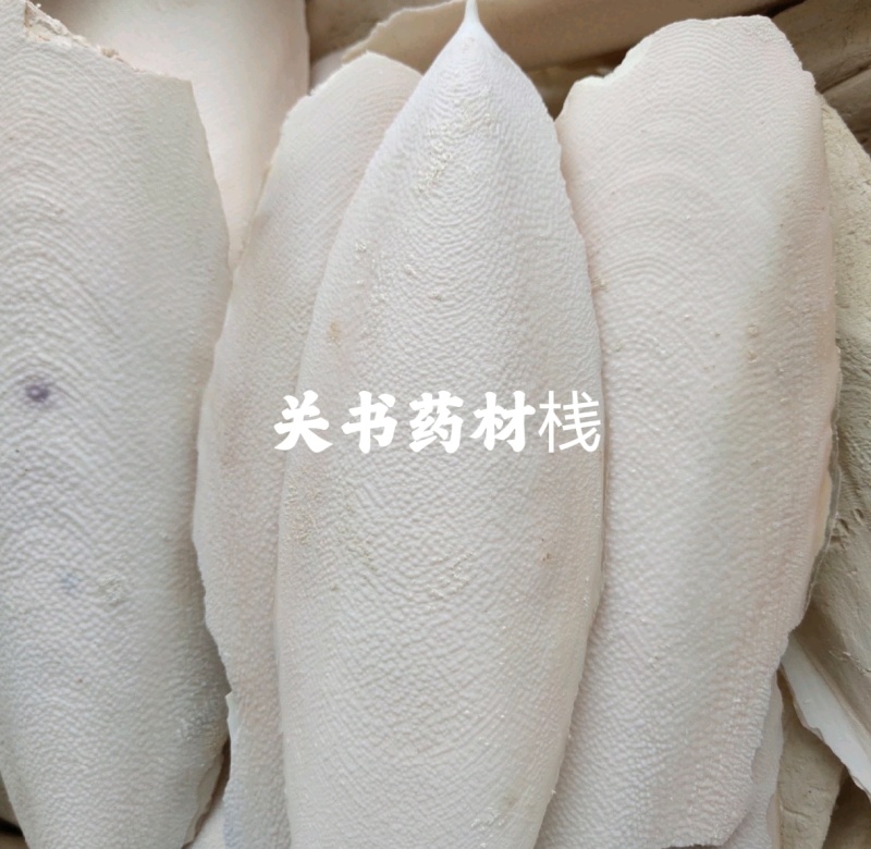 海螵蛸精选个子关书药业批发各种规格中药材