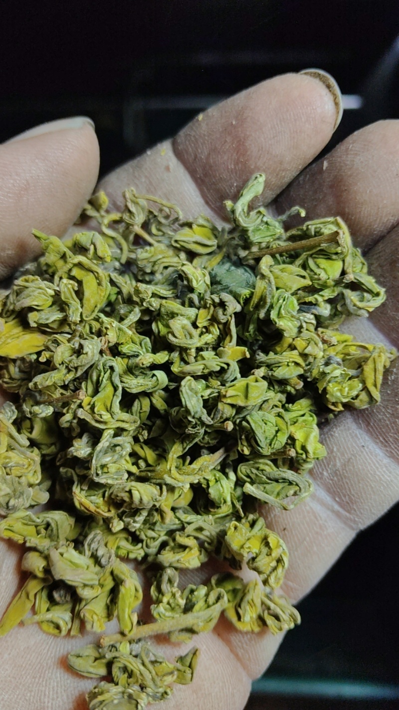 黄金芽