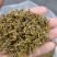 黄金芽