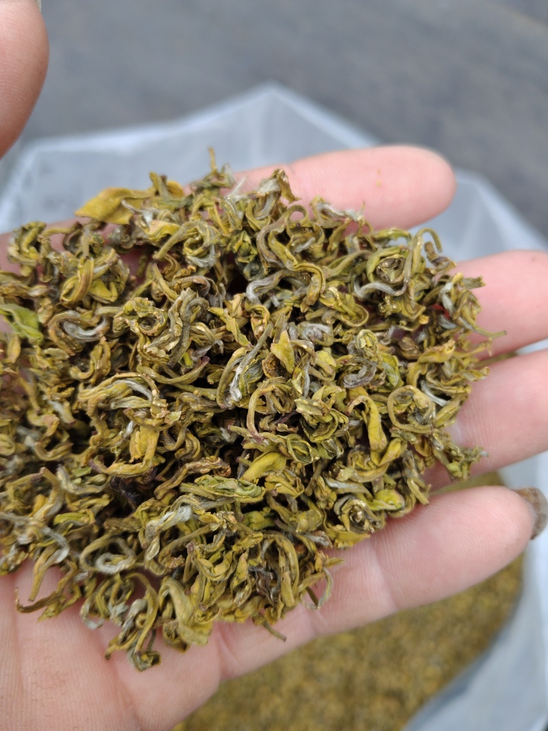 黄金芽