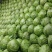 【推荐】湖北圆包菜供应市场商超电商量大价优