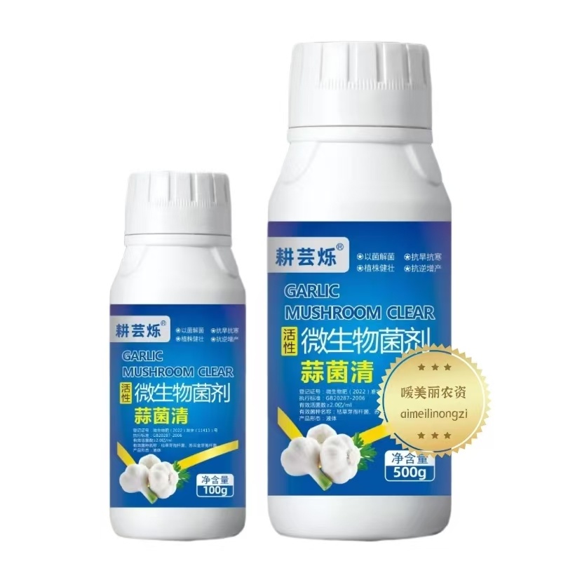 微生物菌剂蒜菌清专门防治大蒜干尖黄叶