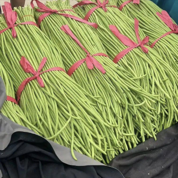 精品长豆角大量现货供应全国诚信经营欢迎咨询！