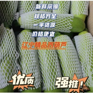 精品西葫芦一手货源质量保证价格便宜货源充足