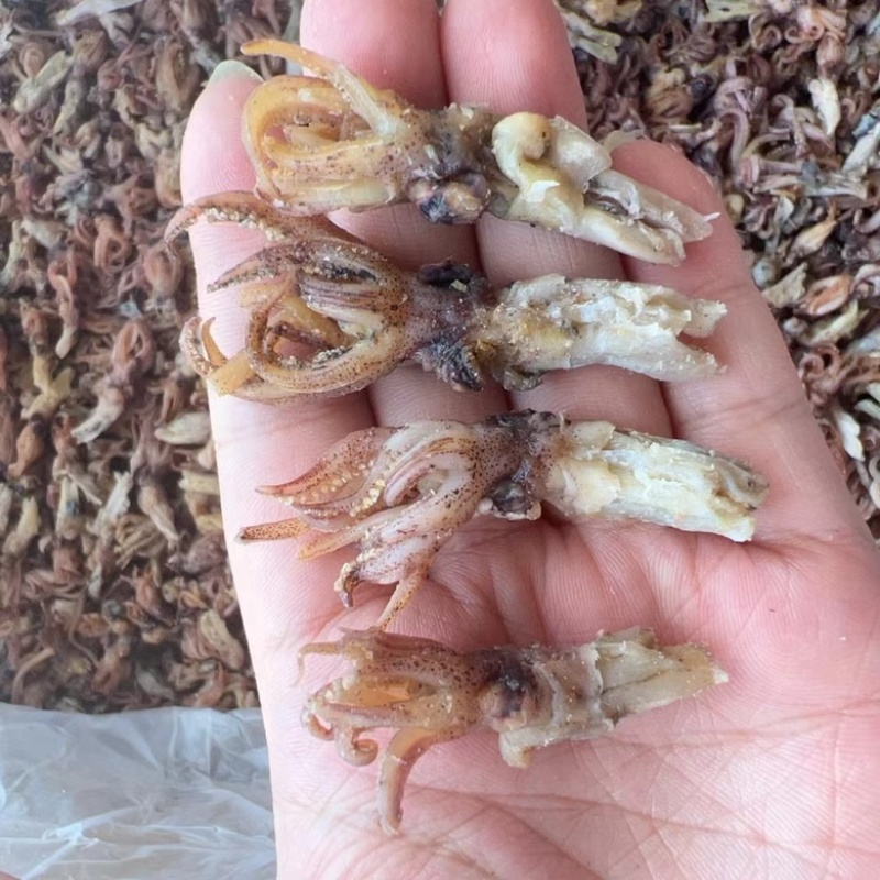 新货小墨鱼仔干