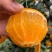 爱媛橙爱媛38号果冻橙货品充足产地直发提供一条龙服务