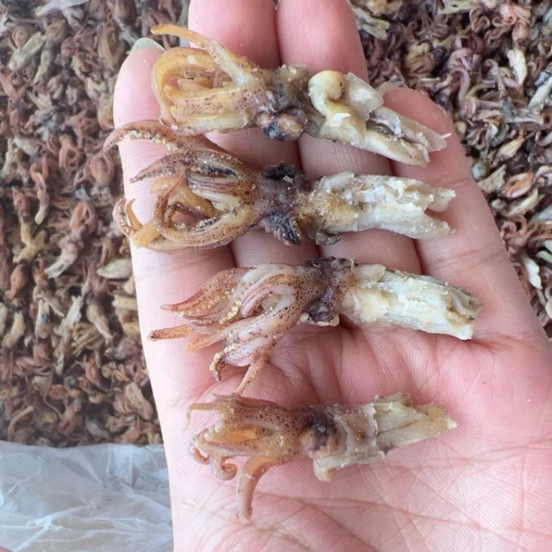 新货小墨鱼仔干