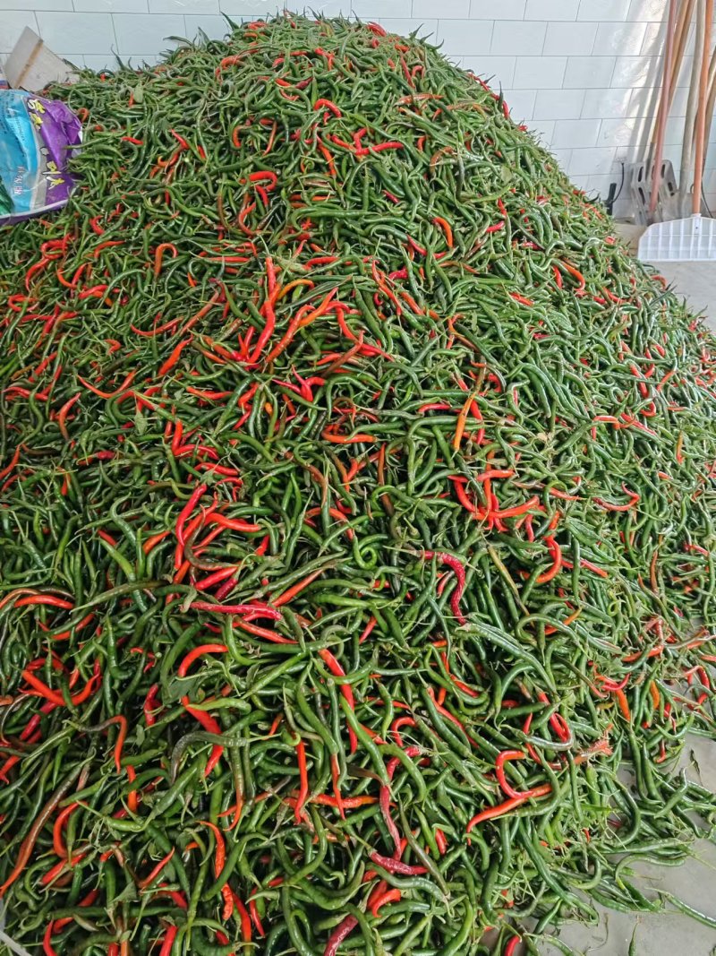 鲜辣椒