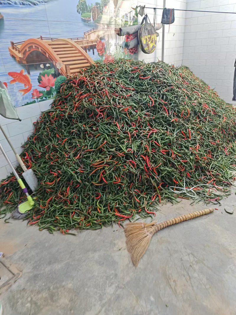 鲜辣椒