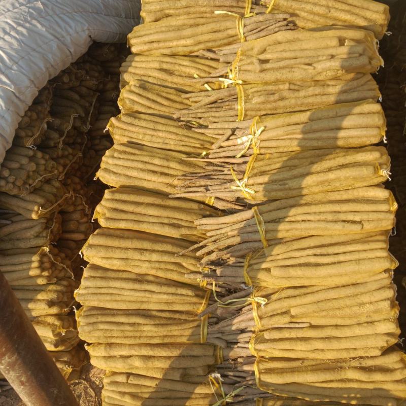 河北省，大名县优质白玉网贷山药。