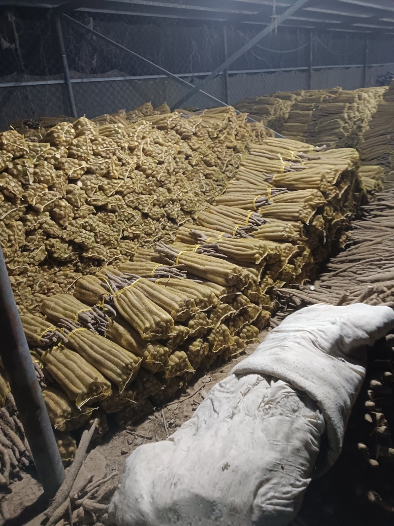 河北省，大名县优质白玉网贷山药。