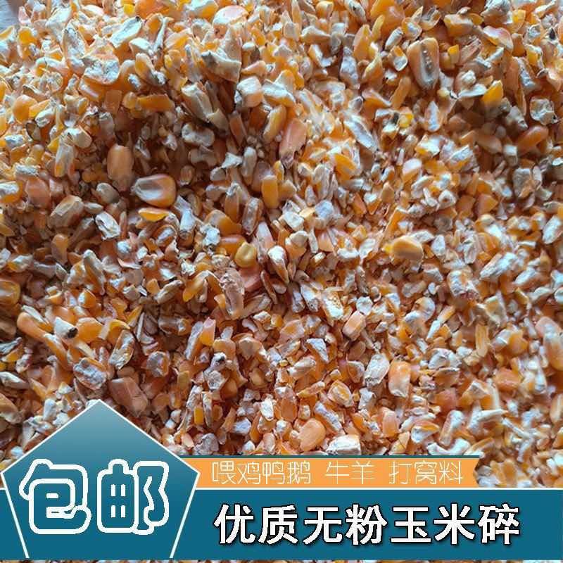 碎玉米净粮无杂质无霉变水份12.5容重720以上